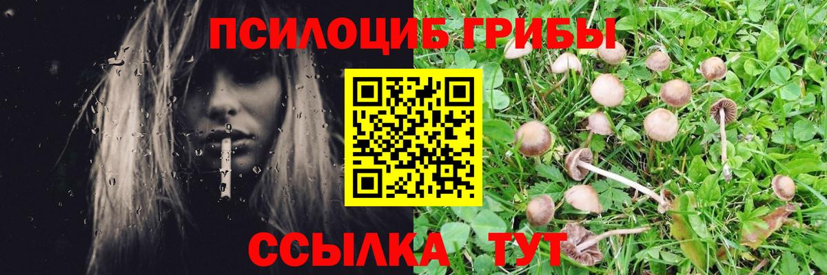 Псилоцибиновые грибы GOLDEN TEACHER Дзержинск