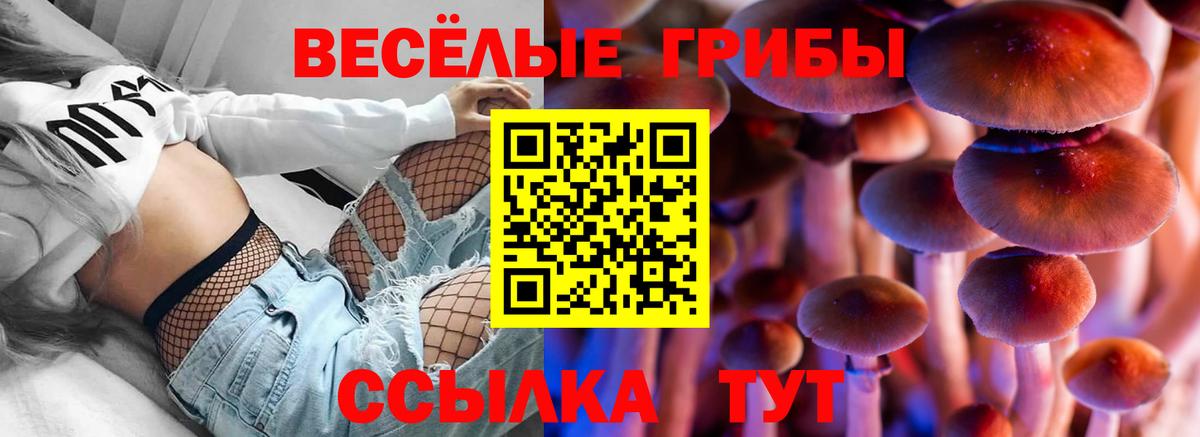 Галлюциногенные грибы Cubensis  Вход с VPN  Дзержинск  Псилоцибиновые грибы Cubensis 
